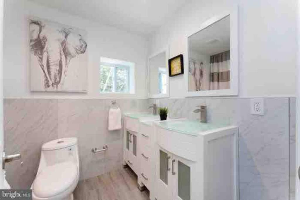 Brand New Home In South Philly!!! Philadelphia Ngoại thất bức ảnh
